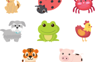 pets